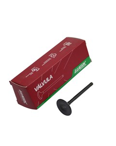 VALVULA ADM YBR/XTZ125 WGK