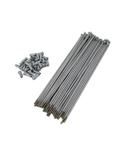 RAIO DIANT XTZ125/250/LAND  DDL CROMA