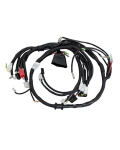 CHICOTE INSTALA CRYPTON T115 ED 10/11 ZO