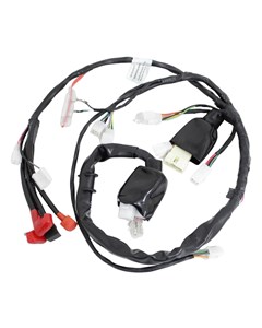 CHICOTE INSTALA SHINERAY PHOENIX 50 GOLD