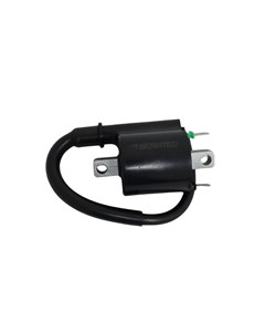 BOBINA EXT XRE300 2010/20 SERVITEC