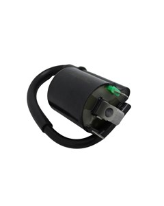 BOBINA EXT XRE300 2010/20 SERVITEC