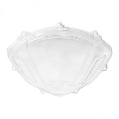 LENTE SUP PAINEL BIZ110 2018/24 WESTER