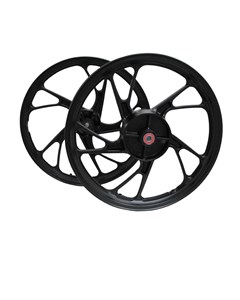 RODA MAGN TIT160 (ESD) PTO PE GALINHA 5P