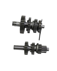 CAIXA MARCHA SHINERAY JET50 13ED UNIK