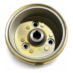 MAGNETO SHINERAY JET50 14/AZ1 25 SMART F