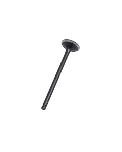 VALVULA ESCAP TOD/TIT 92/01 METAL LEVE